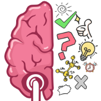 Brain Out